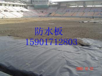 針刺地毯 匠心工藝與現(xiàn)代科技的完美結合