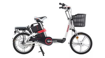 新國標(biāo)下的經(jīng)典之選——捷安特L830S電動(dòng)車銷售解析