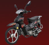 產(chǎn)品中心,電動車,助力車 中國輕騎濟南世紀風(fēng)摩托車 無錫市俊杰車輛廠