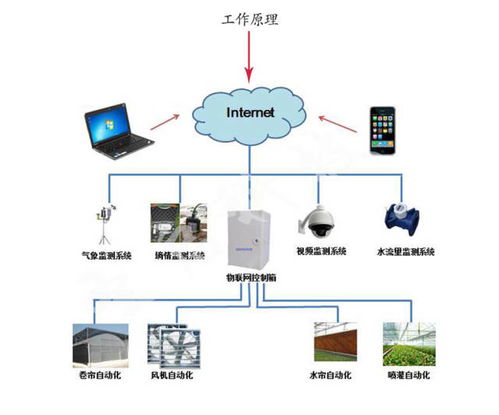 智能溫室大棚控制系統(tǒng)的功能特色與物聯(lián)網(wǎng)技術(shù)應(yīng)用研究
