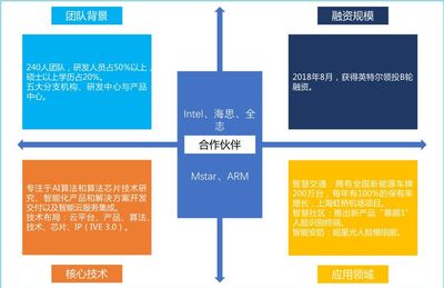 物聯網全景動態圖譜2.0 我說安防，你說AI——盤點國內主要計算機視覺算法初創公司